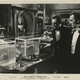 Illustration for article titled Svengoolie: The Revenge of Frankenstein (1958)